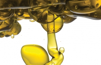 Olive Oil